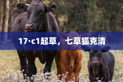 17·c1起草，七草狐克清