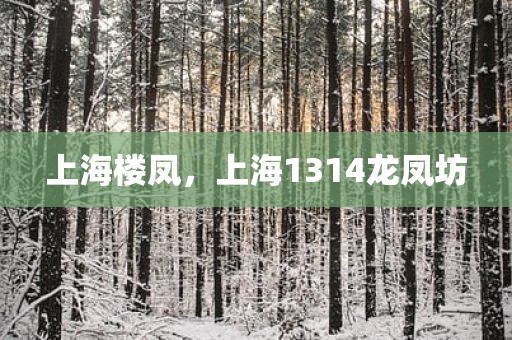 上海楼凤，上海1314龙凤坊