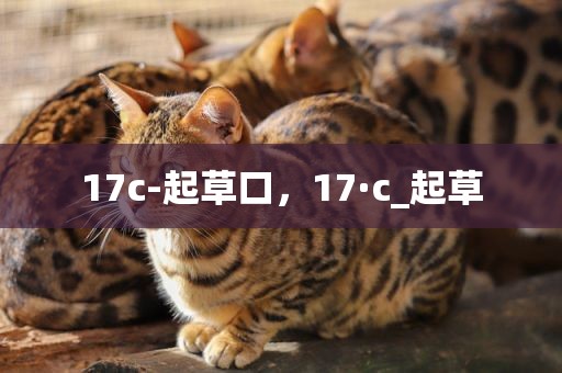 17c-起草口，17·c_起草