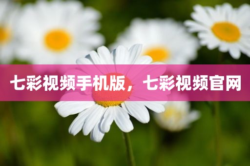 七彩视频手机版，七彩视频官网