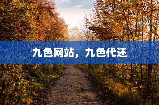 九色网站，九色代还