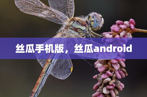 丝瓜手机版，丝瓜android