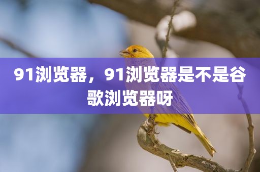 91浏览器，91浏览器是不是谷歌浏览器呀