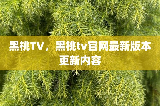 黑桃TV，黑桃tv官网最新版本更新内容