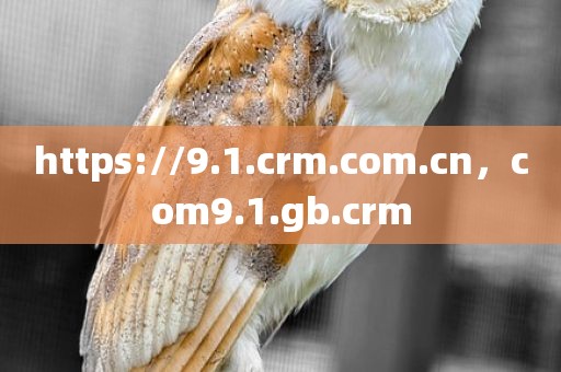 https://9.1.crm.com.cn，com9.1.gb.crm