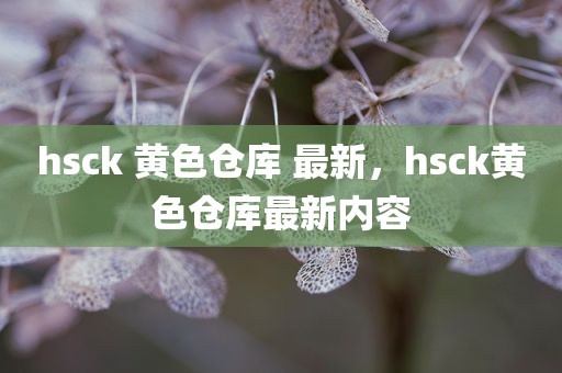 hsck 黄色仓库 最新，hsck黄色仓库最新内容
