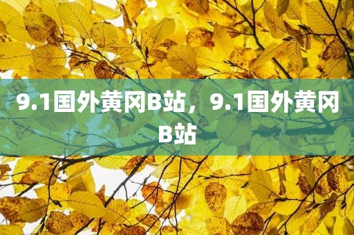 9.1国外黄冈B站，9.1国外黄冈B站