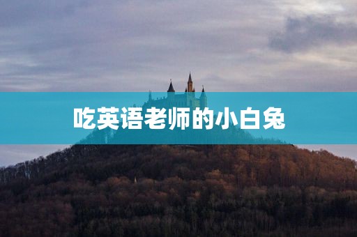 吃英语老师的小白兔
