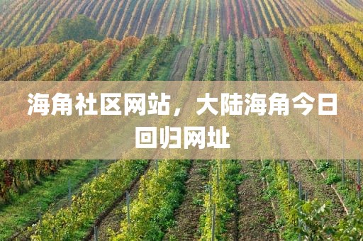 海角社区网站，大陆海角今日回归网址