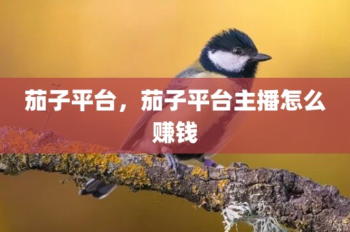茄子平台，茄子平台主播怎么赚钱