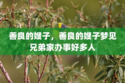 善良的嫂子，善良的嫂子梦见兄弟家办事好多人