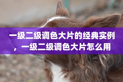 一级二级调色大片的经典实例，一级二级调色大片怎么用