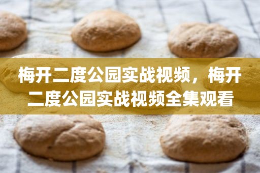 梅开二度公园实战视频，梅开二度公园实战视频全集观看