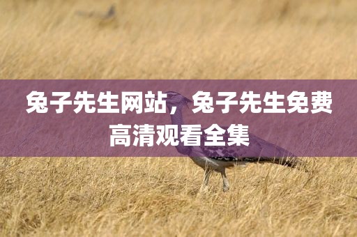 兔子先生网站，兔子先生免费高清观看全集