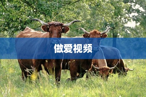 做爱视频