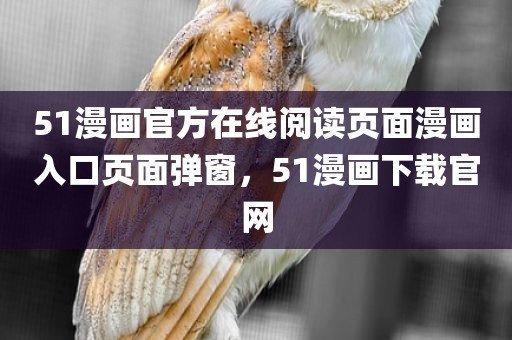 51漫画官方在线阅读页面漫画入口页面弹窗，51漫画下载官网
