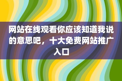 网站在线观看你应该知道我说的意思吧，十大免费网站推广入口