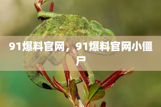91爆料官网，91爆料官网小僵尸