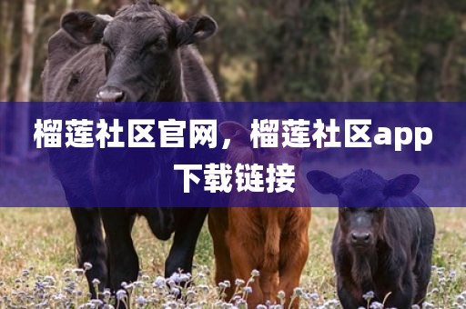 榴莲社区官网，榴莲社区app下载链接