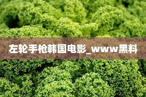 左轮手枪韩国电影_www黑料