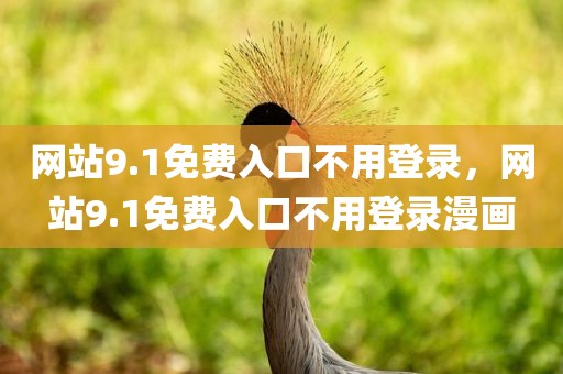 网站9.1免费入口不用登录，网站9.1免费入口不用登录漫画