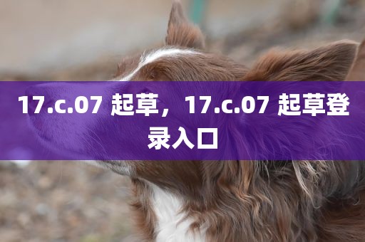 17.c.07 起草，17.c.07 起草登录入口
