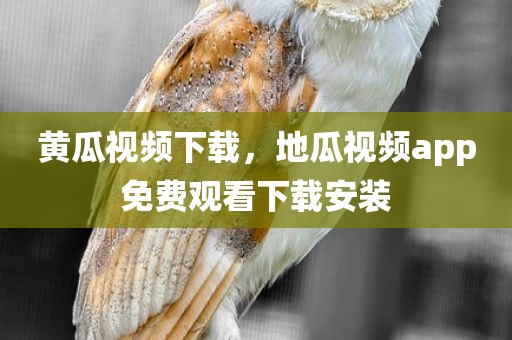 黄瓜视频下载，地瓜视频app免费观看下载安装