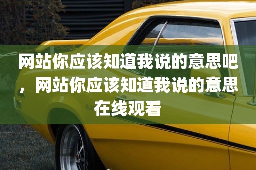 网站你应该知道我说的意思吧，网站你应该知道我说的意思在线观看