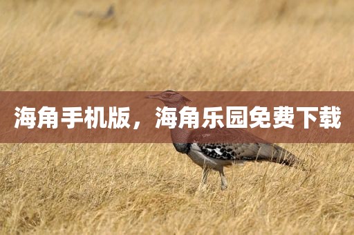 海角手机版，海角乐园免费下载