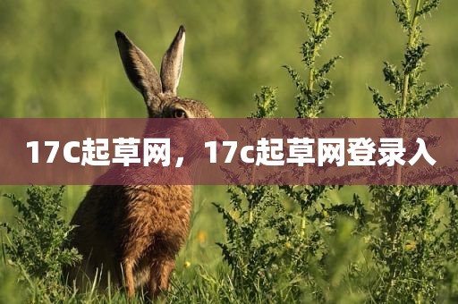 17C起草网，17c起草网登录入