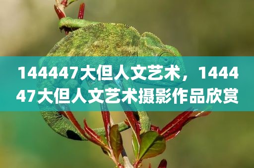 144447大但人文艺术，144447大但人文艺术摄影作品欣赏