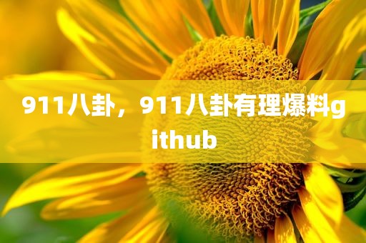 911八卦，911八卦有理爆料github