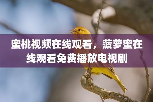 蜜桃视频在线观看，菠萝蜜在线观看免费播放电视剧