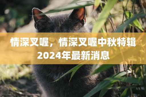 情深叉喔，情深叉喔中秋特辑2024年最新消息