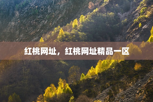 红桃网址，红桃网址精品一区