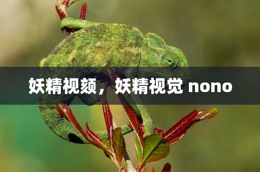 妖精视颏，妖精视觉 nono