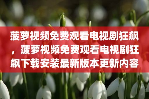 菠萝视频免费观看电视剧狂飙，菠萝视频免费观看电视剧狂飙下载安装最新版本更新内容