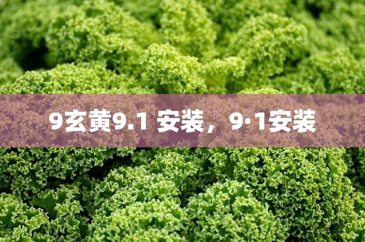 9玄黄9.1 安装，9·1安装