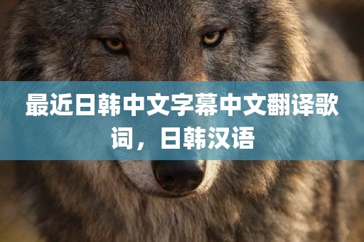 最近日韩中文字幕中文翻译歌词，日韩汉语