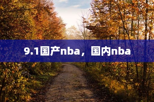 9.1国产nba，国内nba