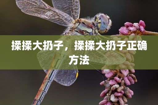 揉揉大扔子，揉揉大扔子正确方法