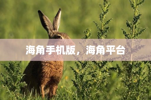海角手机版，海角平台