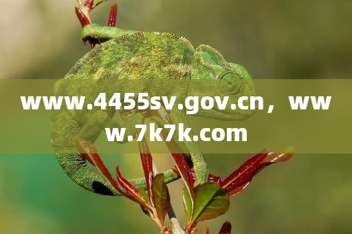 www.4455sv.gov.cn，www.7k7k.com