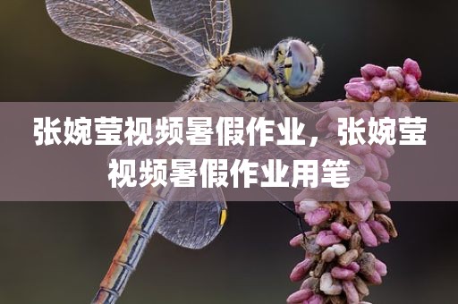 张婉莹视频暑假作业，张婉莹视频暑假作业用笔
