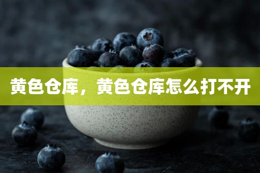 黄色仓库，黄色仓库怎么打不开