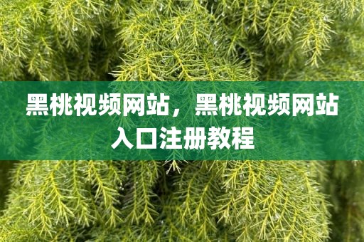 黑桃视频网站，黑桃视频网站入口注册教程