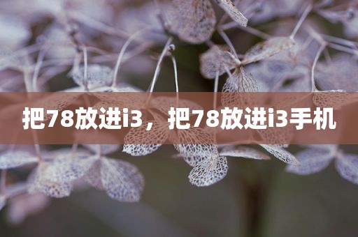 把78放进i3，把78放进i3手机