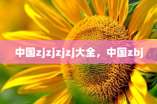 中国zjzjzjzj大全，中国zbj