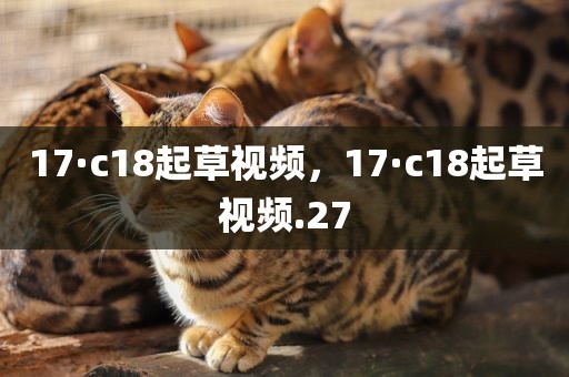 17·c18起草视频，17·c18起草视频.27