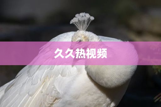 久久热视频